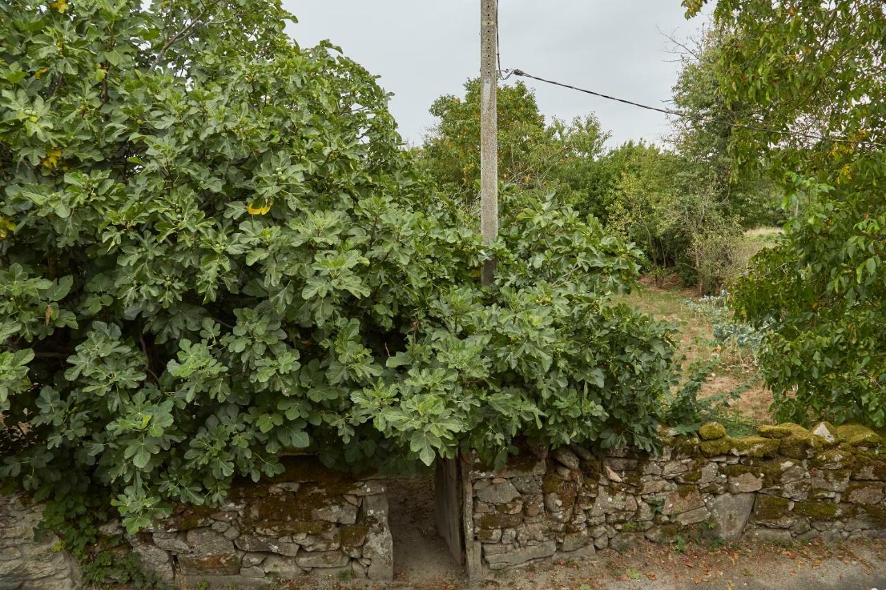 A Cucada Daire Sabariz Dış mekan fotoğraf